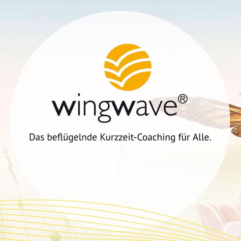 SCHIMANSKI - WINGWAVE® - Systemisches Kurzzeit Coaching